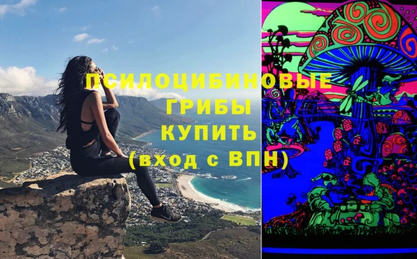 мескалин Осинники