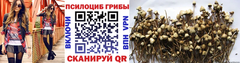 Галлюциногенные грибы ЛСД  цена наркотик  Серафимович 